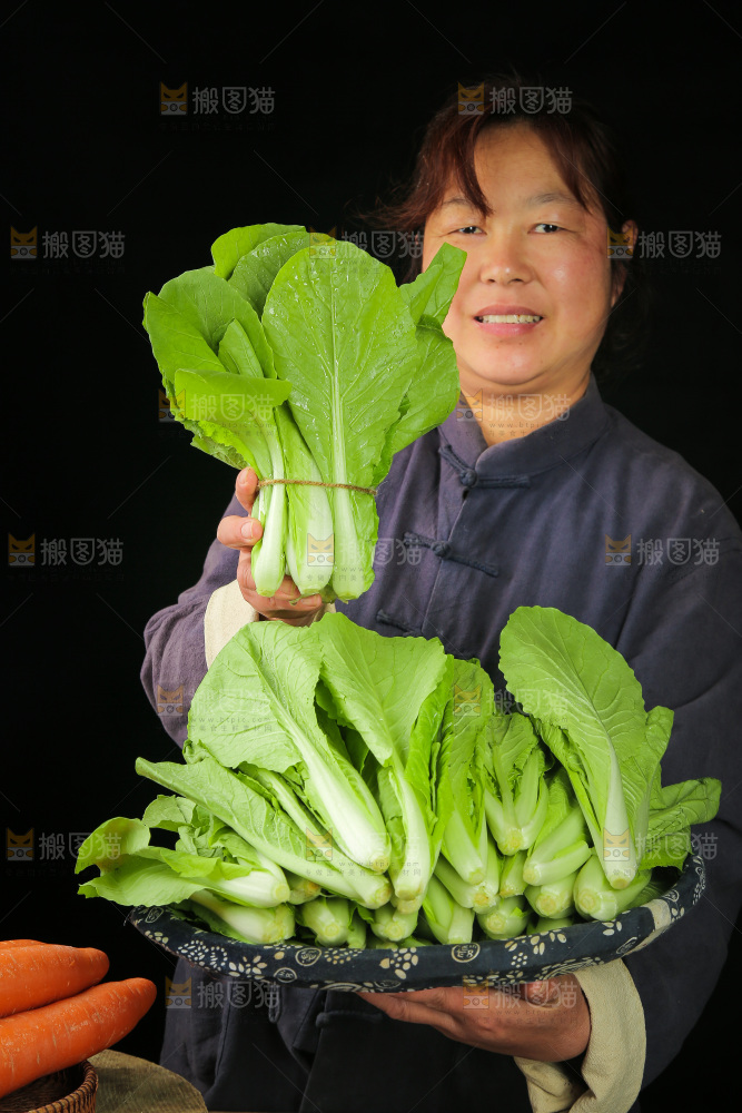 手里拿着小白菜