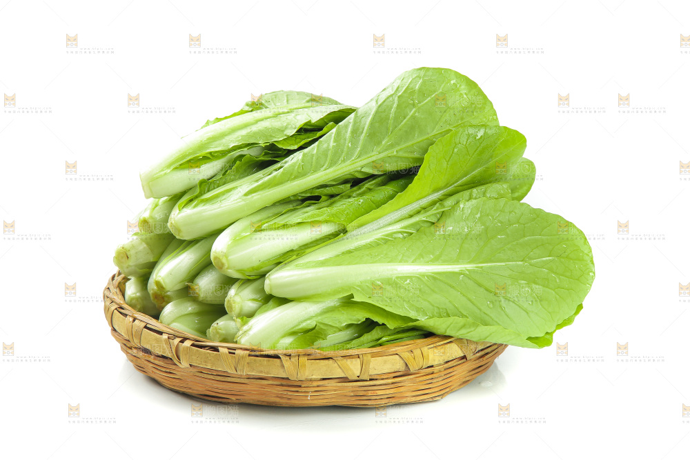 白底上放着一篮新鲜小白菜
