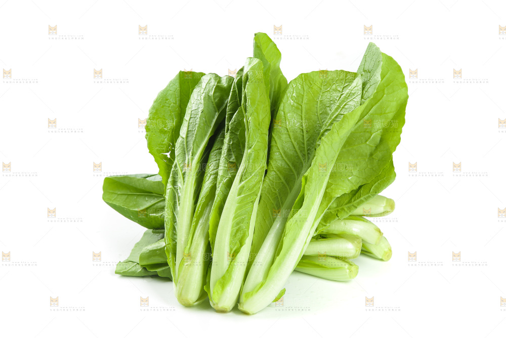 白底上的四季小白菜