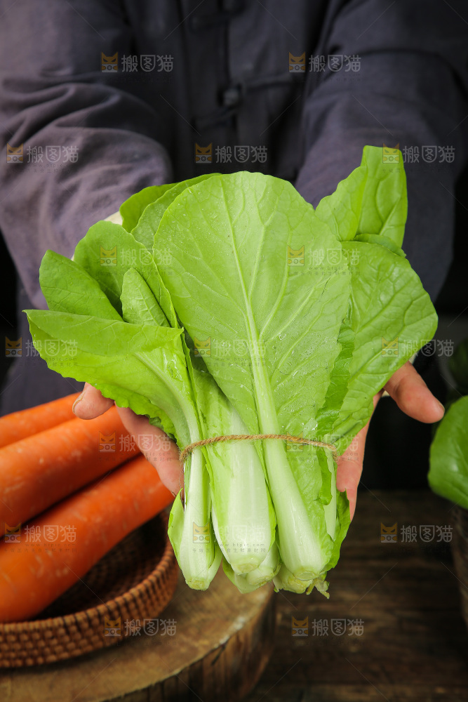 手里拿着杭白菜