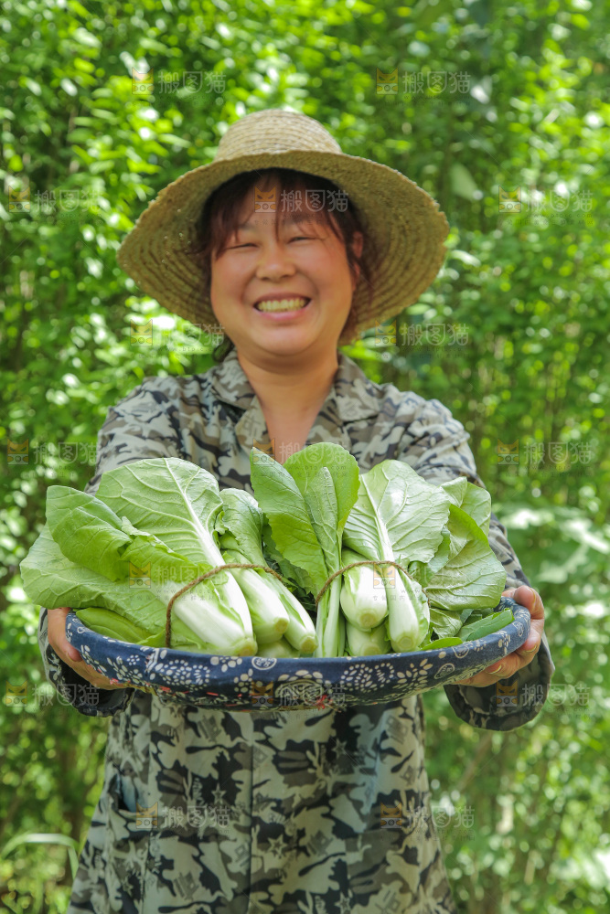 手里端着一篮小白菜