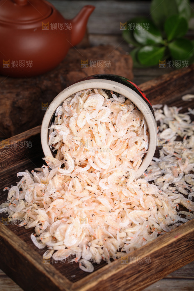 缸里装着小虾米