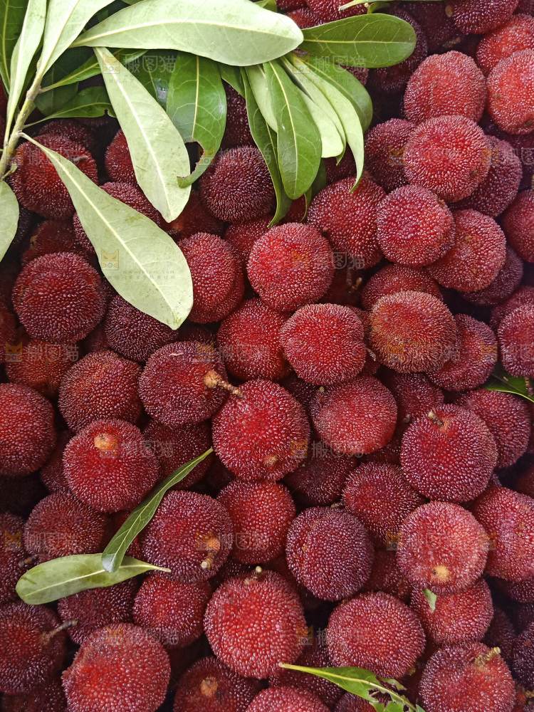 新鲜杨梅纹理
