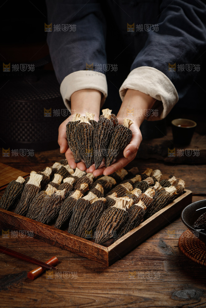 手里捧着羊肚菇