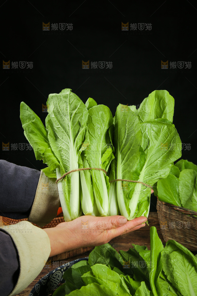 手里拿着小白菜