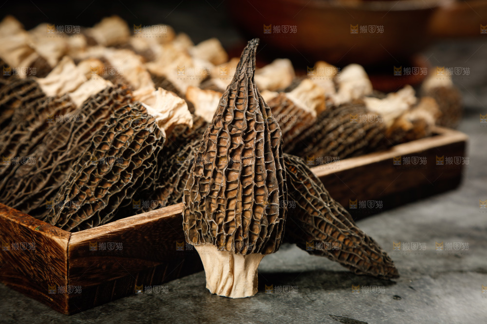黑底上放着羊肚菇