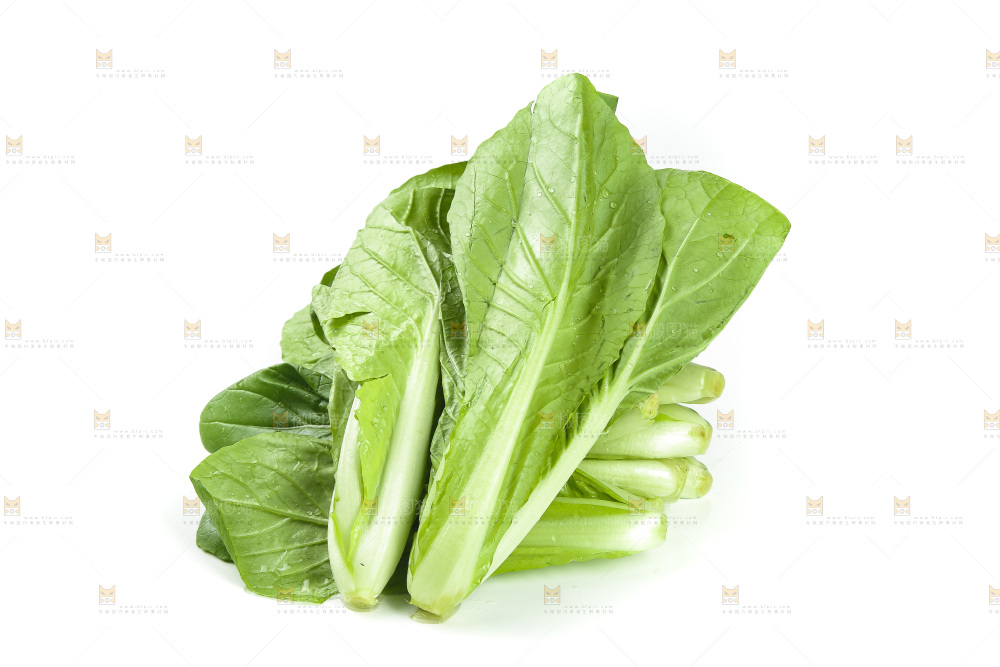 白底上放着小白菜