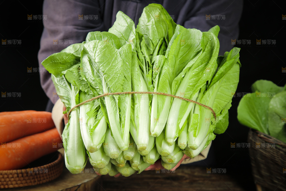 手里捧着四季小白菜