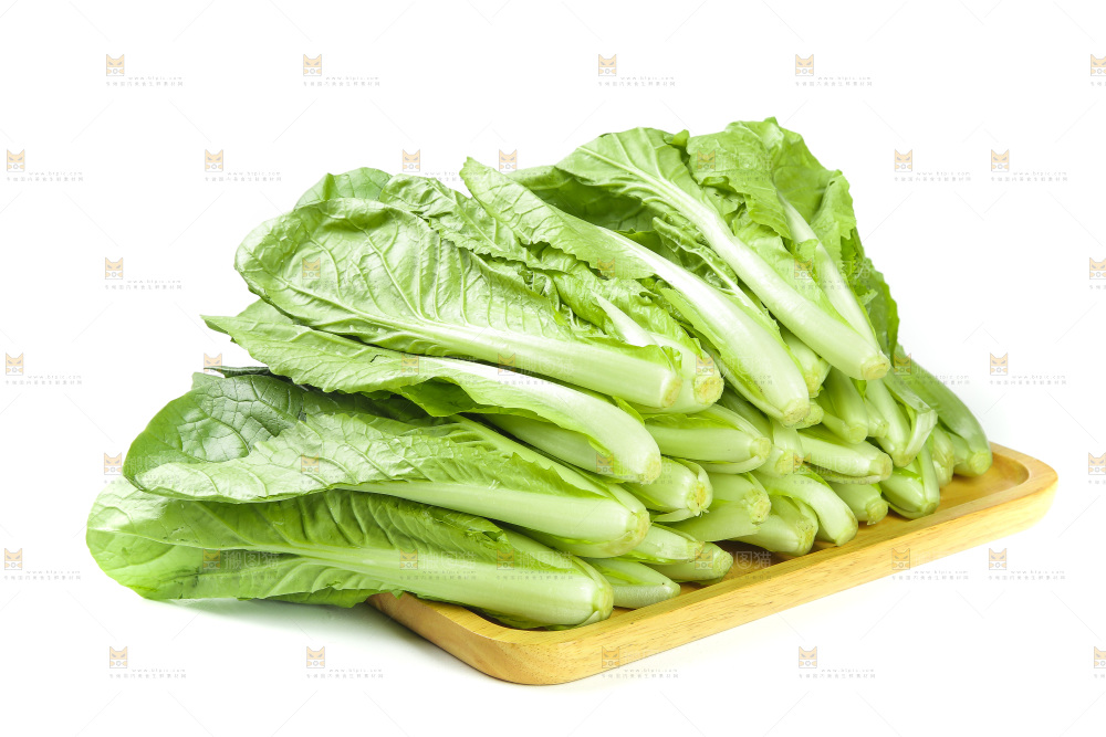一堆新鲜青菜