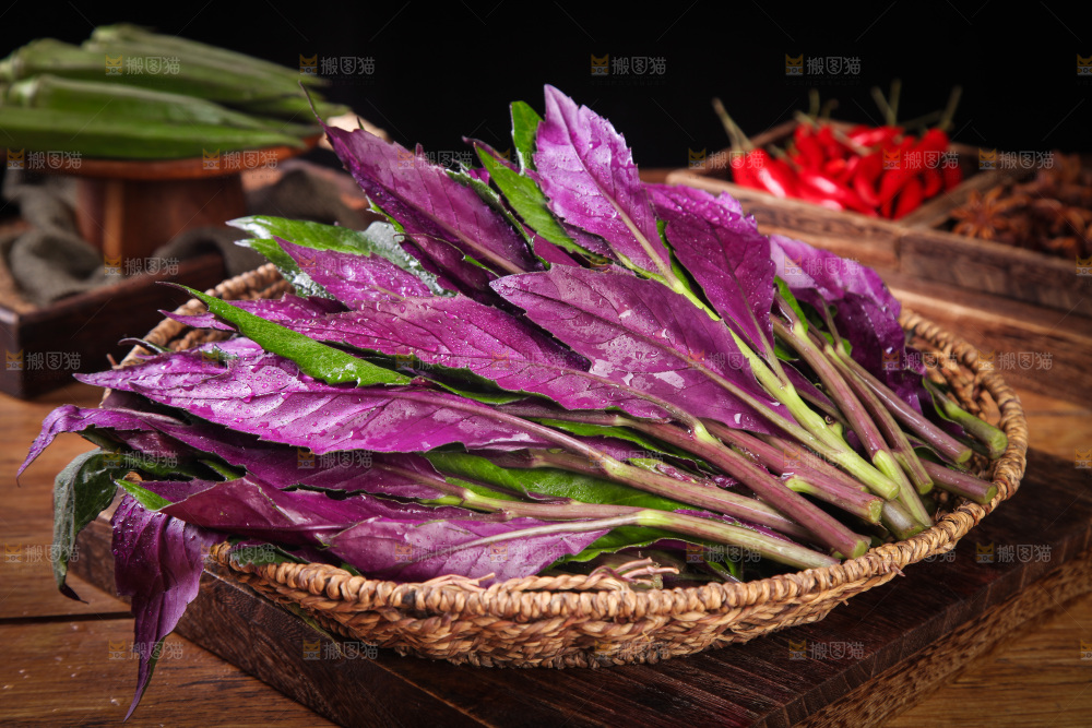 一篮新鲜紫背天葵