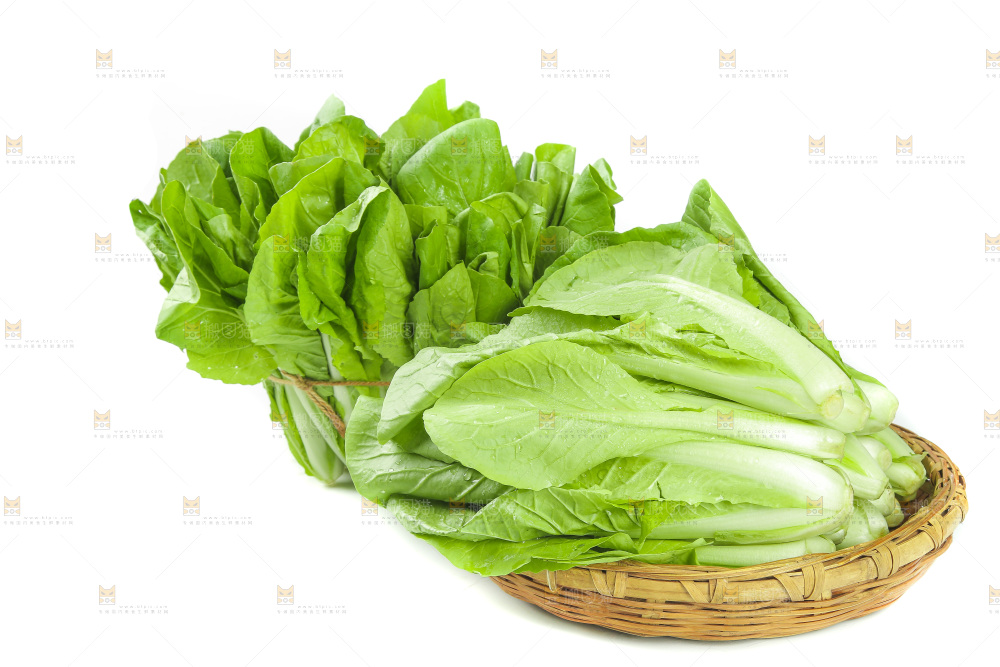 白底上的四季小白菜