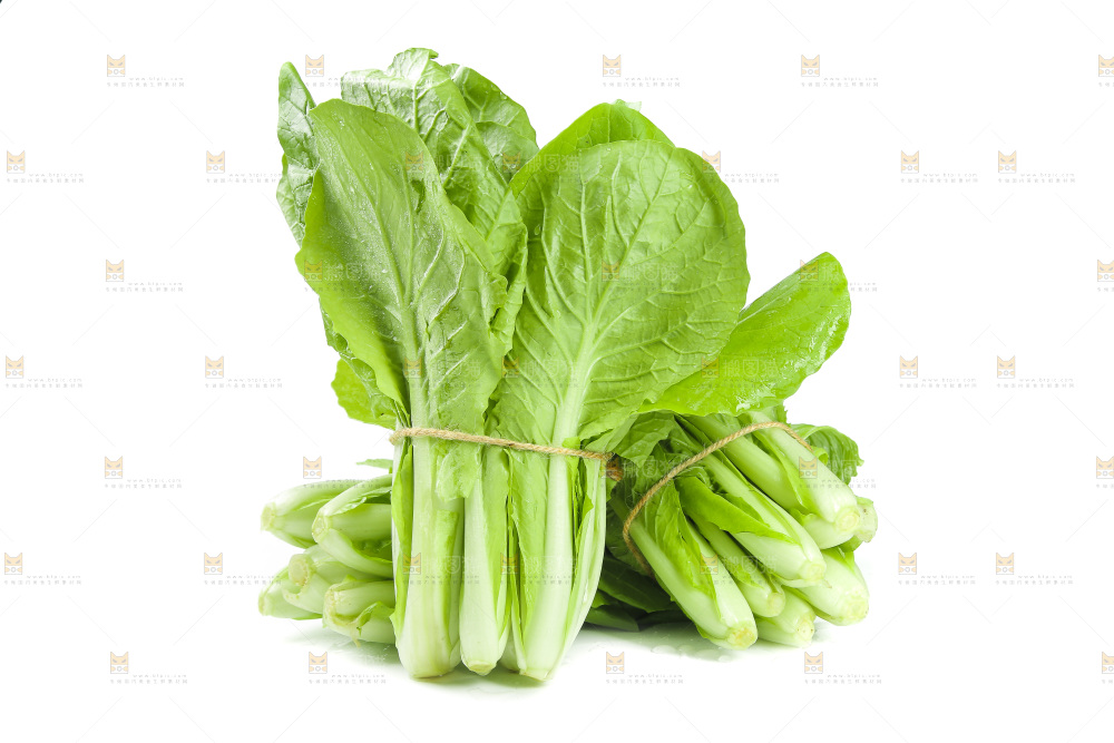 白底上放着一堆小白菜