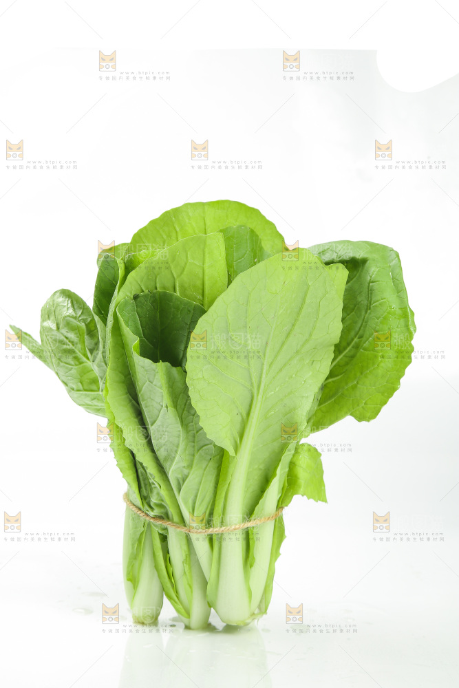 白底上的小白菜
