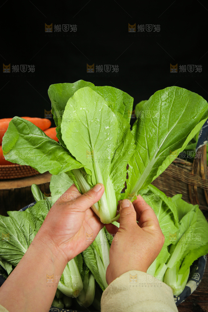 手里拿着小白菜