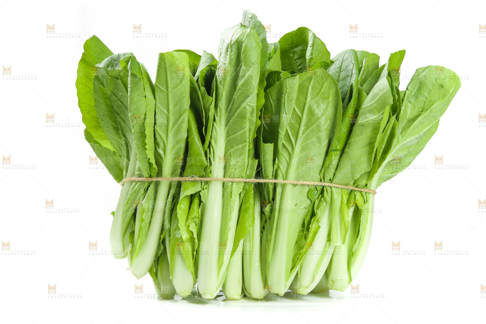 一捆新鲜小白菜