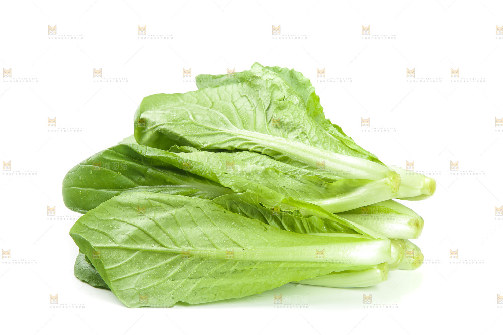 白底上放着小白菜