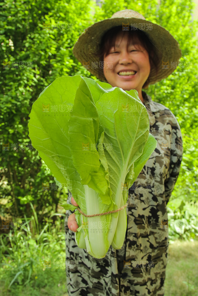 手里拿着青菜