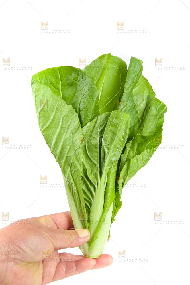 手里拿着青菜
