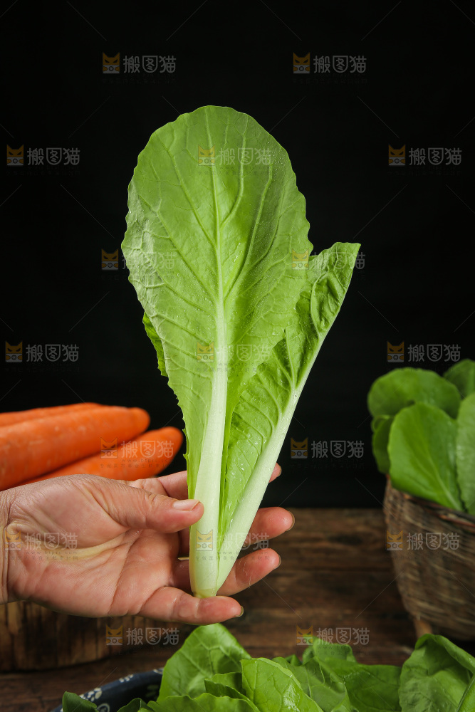 手里拿着小白菜