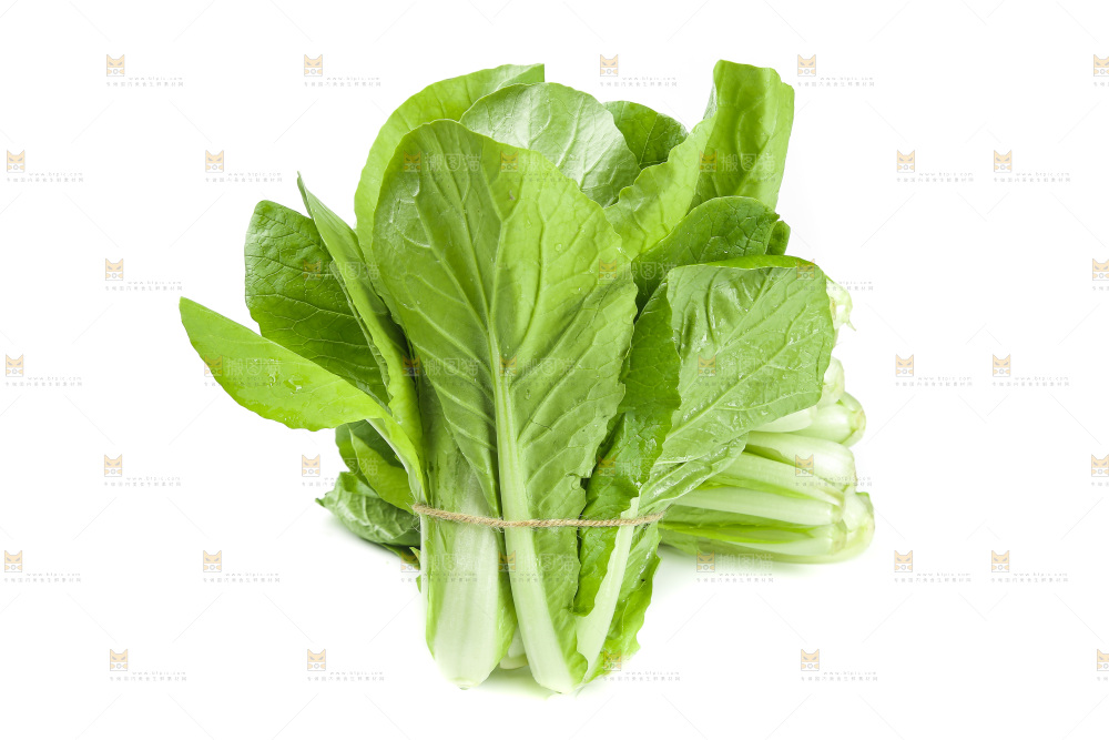 白底上的小白菜