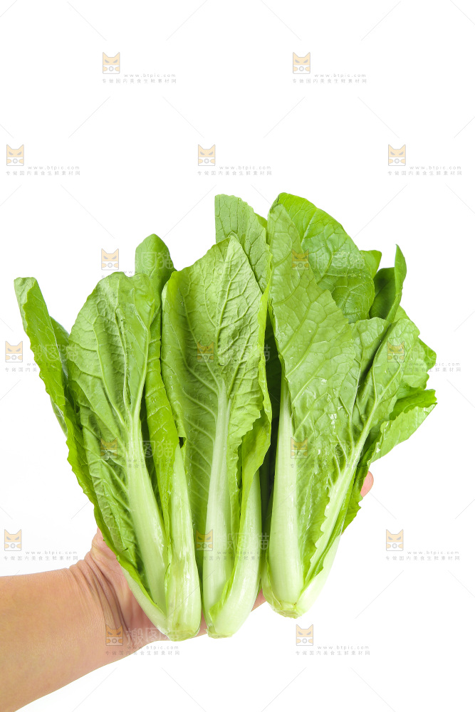 手里拿着青菜