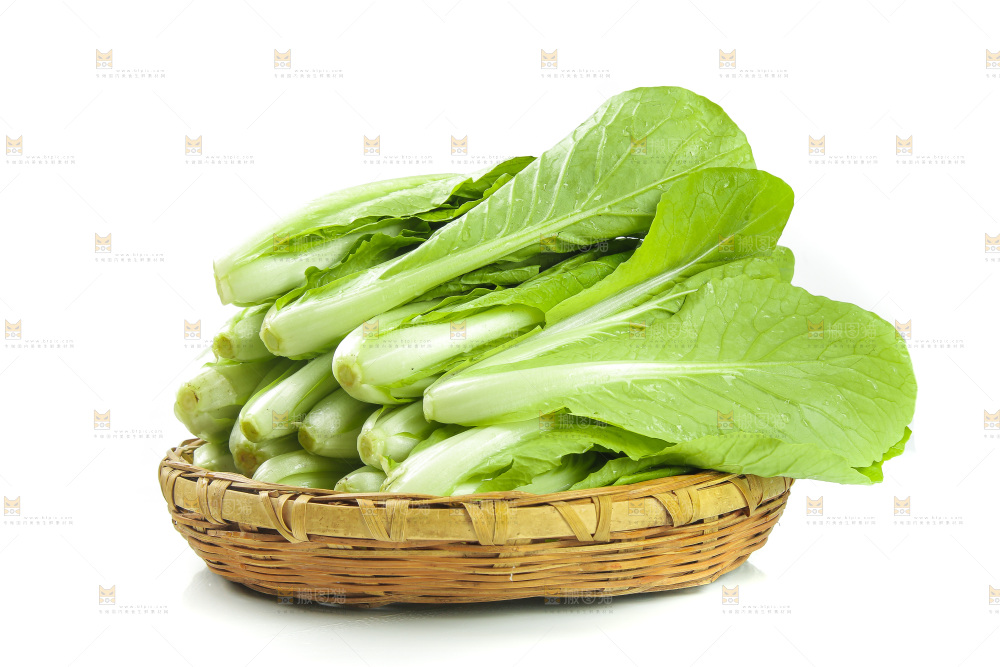 白底上放着一篮新鲜小白菜