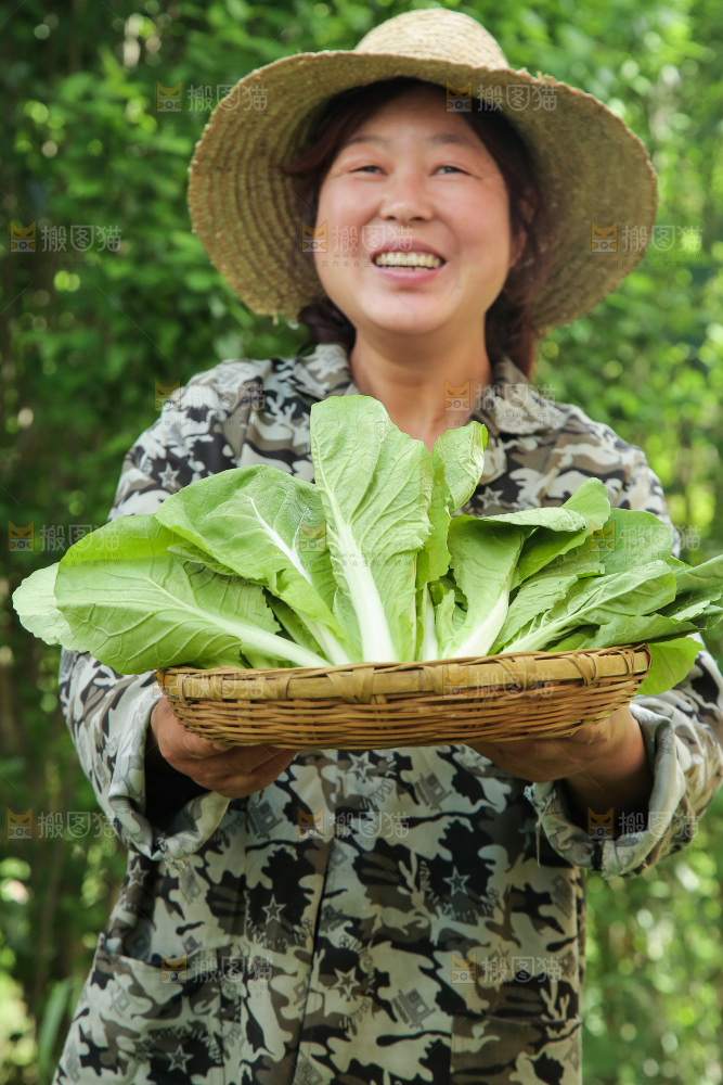 手里端着一篮小白菜