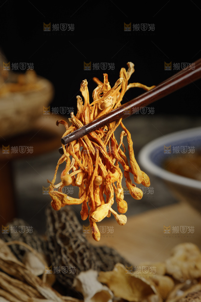 筷子上夹着虫草花
