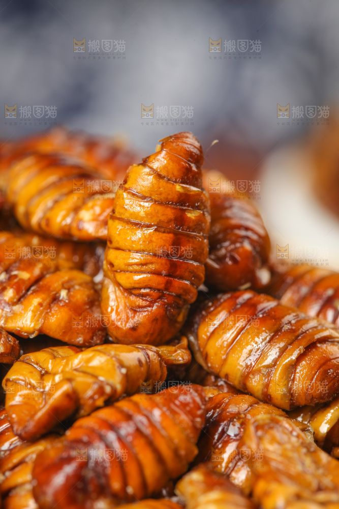 金丝蚕蛹纹理