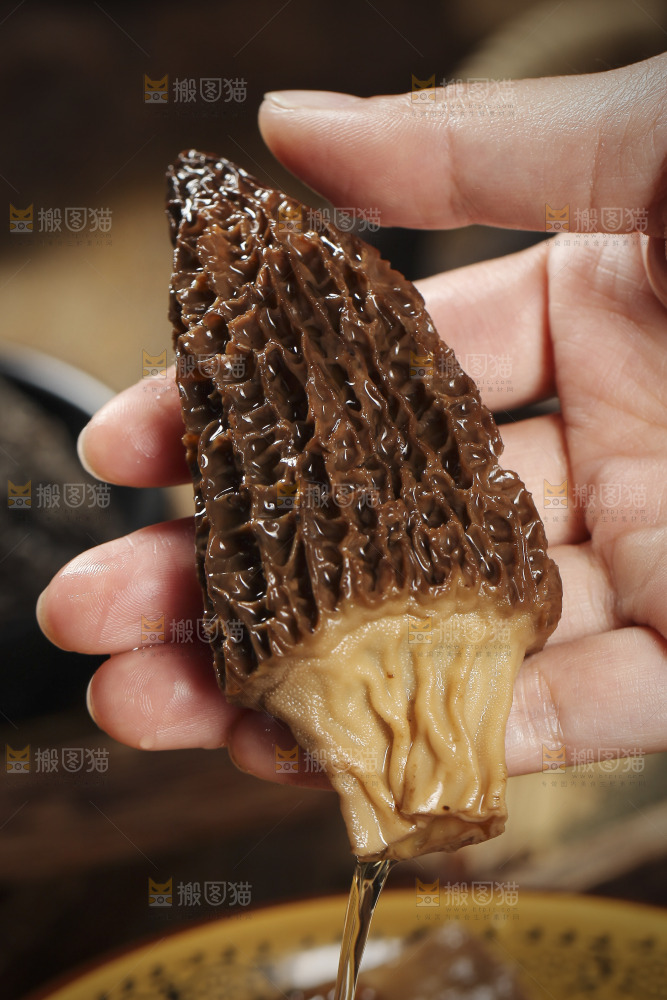 手里拿着羊肚蘑
