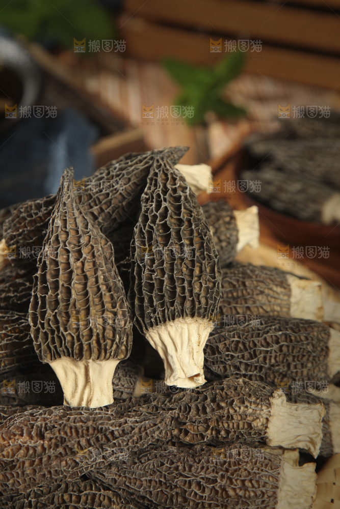 一篮干羊肚菌