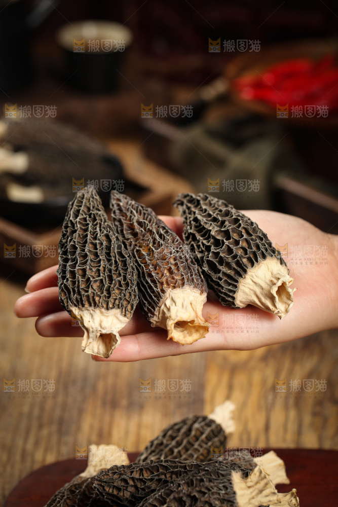 手里拿着云南羊肚菌