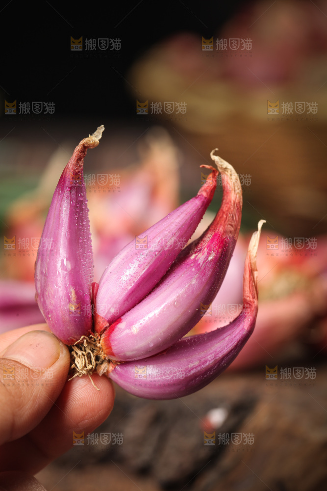 手里拿着紫葱头