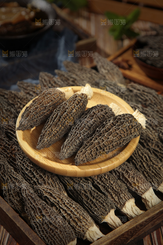 一盘羊肚菌