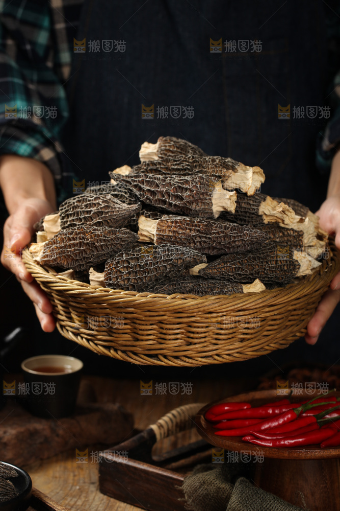 手里端着一篮羊肚菌