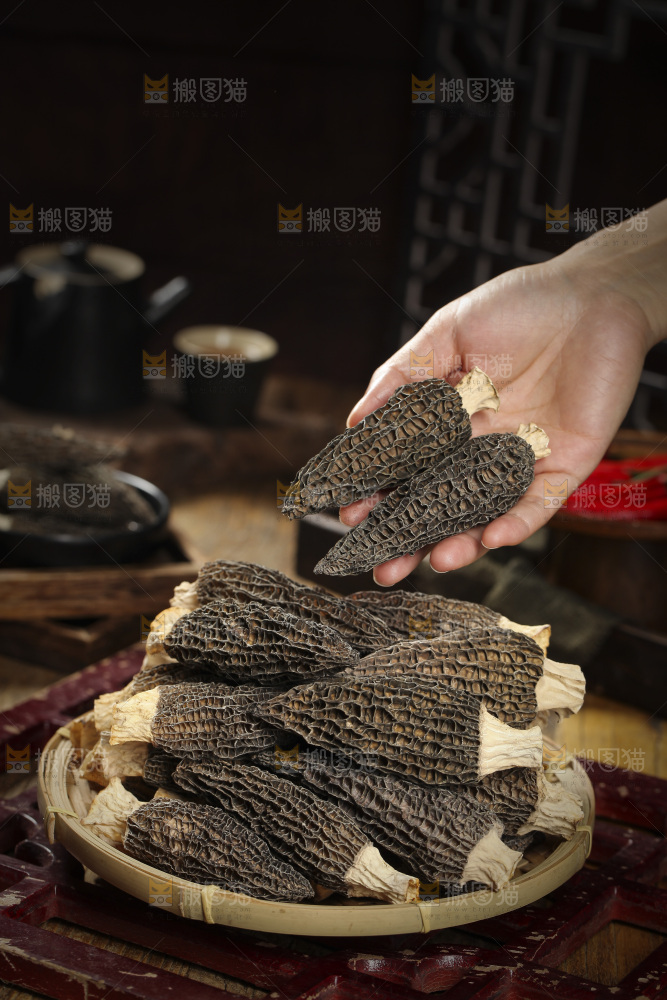 手里拿着羊肚菇