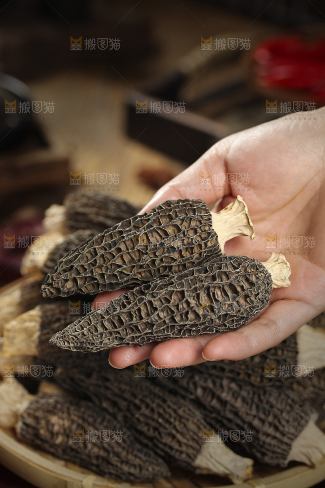 手里拿着羊肚菇