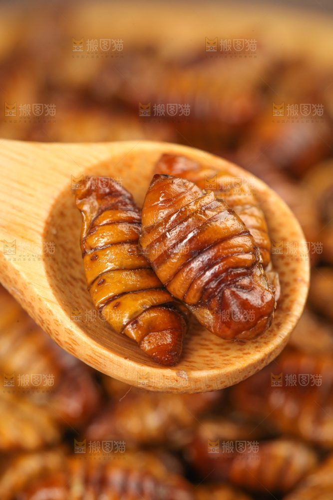 金丝蚕蛹纹理