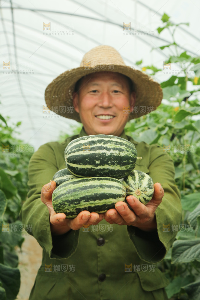 手里捧着博洋9号