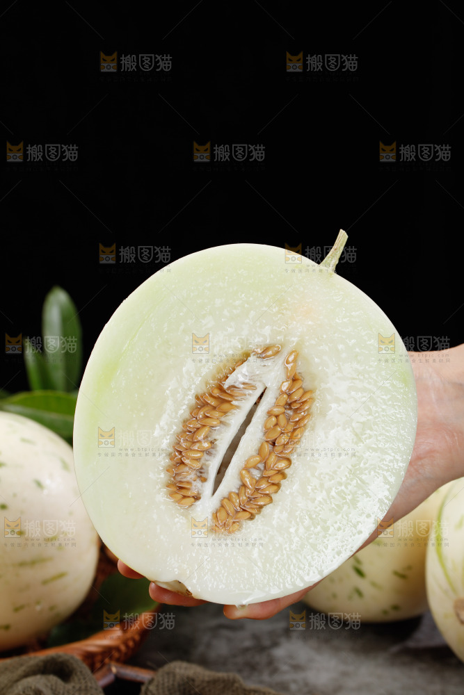 手里拿着白露流星蜜瓜