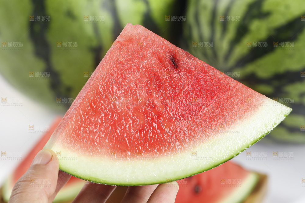 手里拿着红心西瓜