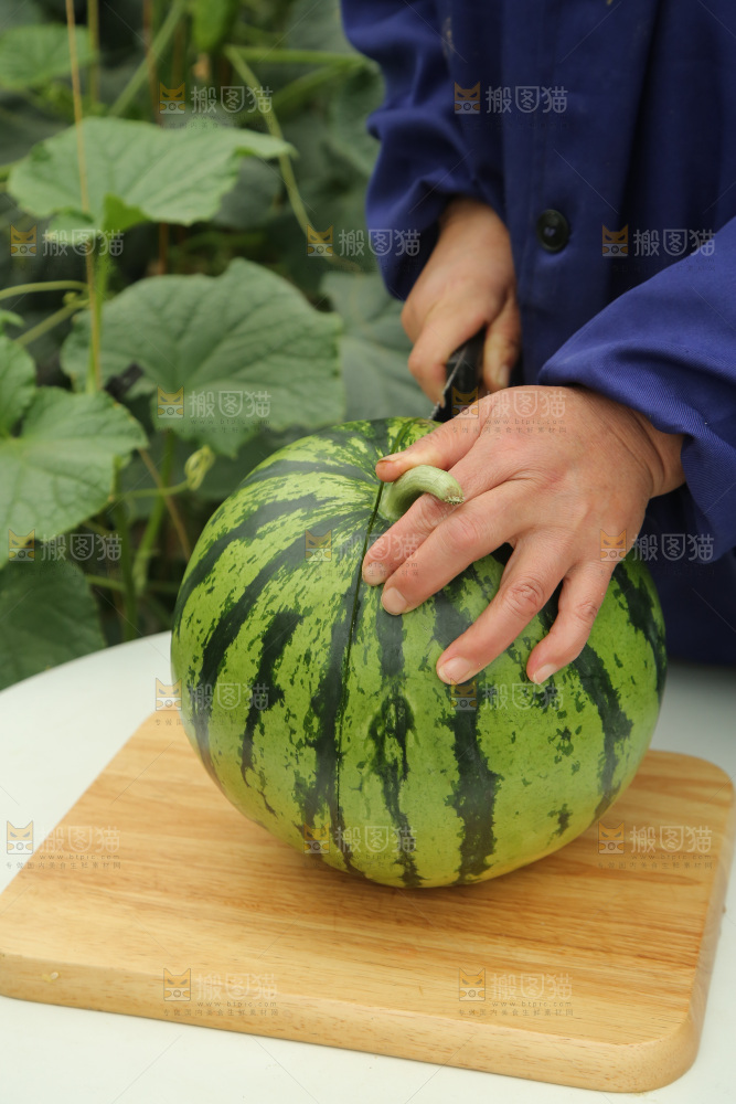 桌子上切着麒麟西瓜