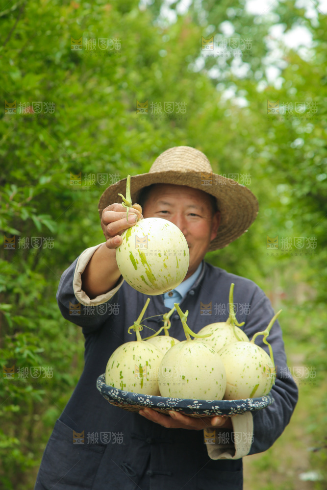 手里端着一篮流星蜜瓜