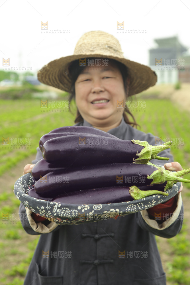 手里端着一篮长茄子