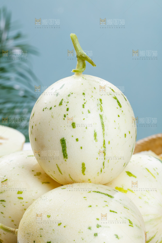 一堆月露流星蜜瓜
