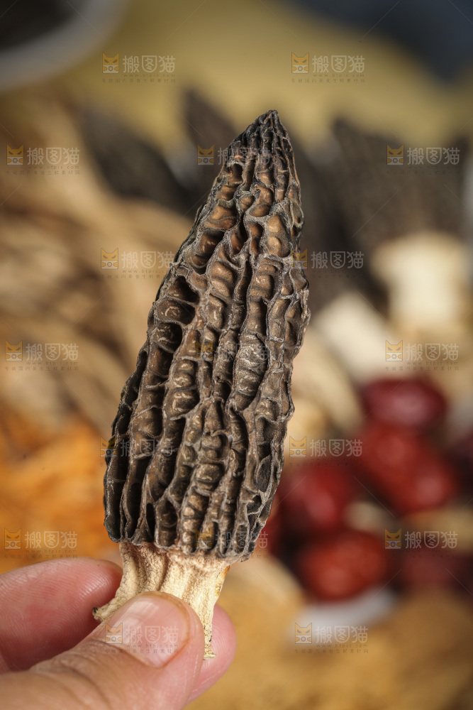 一盘七彩菌菇