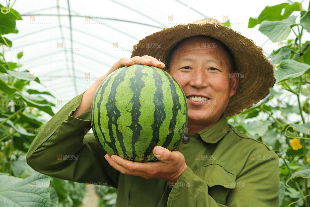 手里抱着麒麟瓜