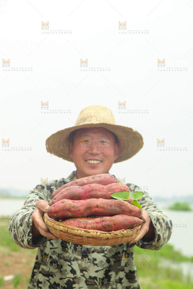 手里端着一篮板栗薯