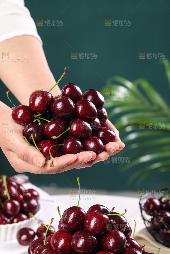 手里捧着美早大樱桃