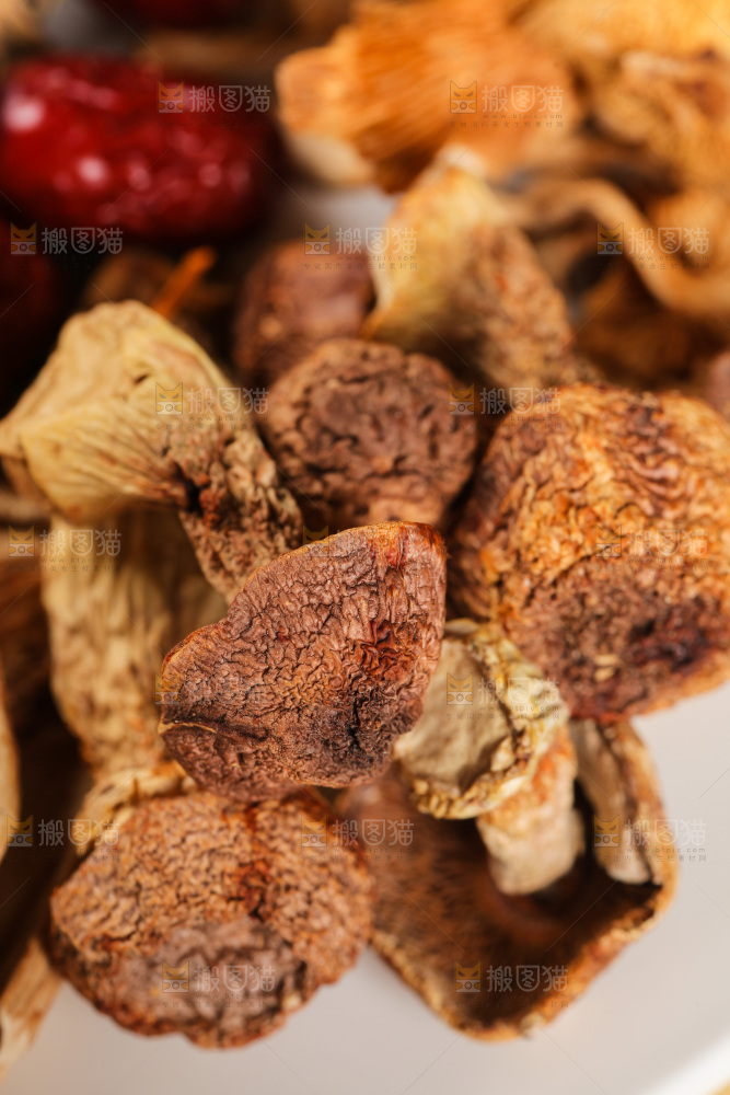 八珍菌菇食材姬松茸